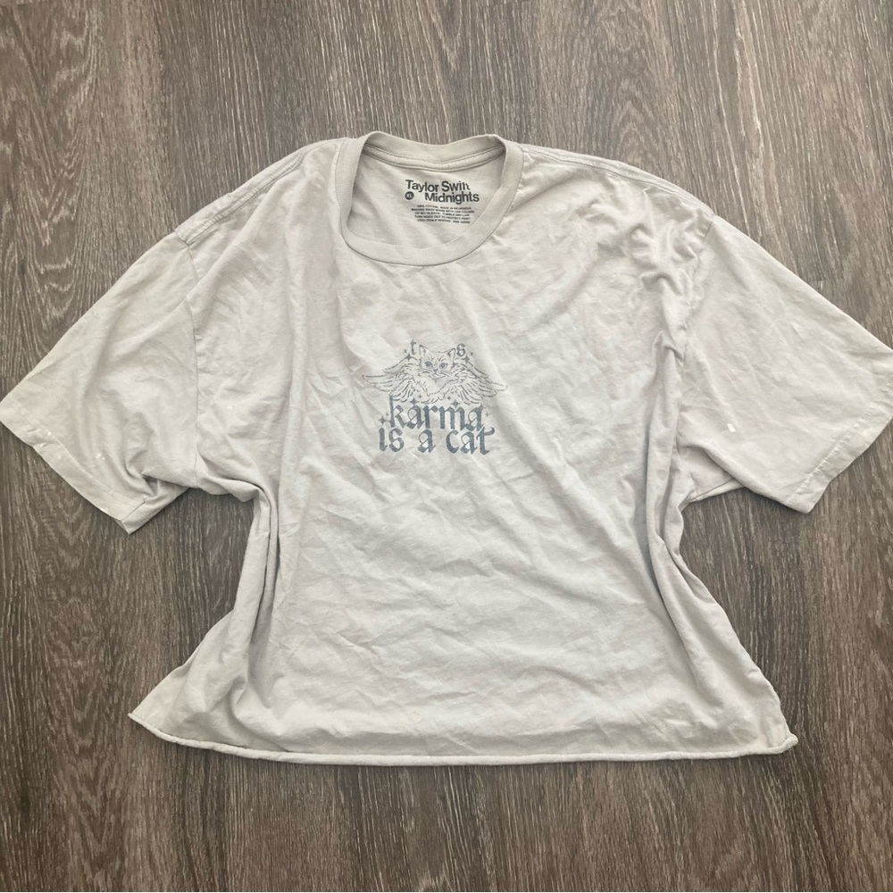 Official Taylor Swift Midnights Era Gray Karma Is A Cat Cropped Tee Oversized XL